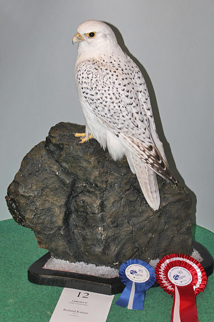 girfalco
